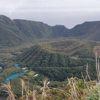 近江百山を含む活動日記一覧 | YAMAP / ヤマップ