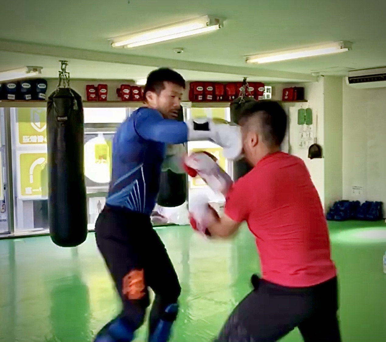 眼窩底骨折 登山ドクターストップ Kuniさんの仙台市の活動データ Yamap ヤマップ