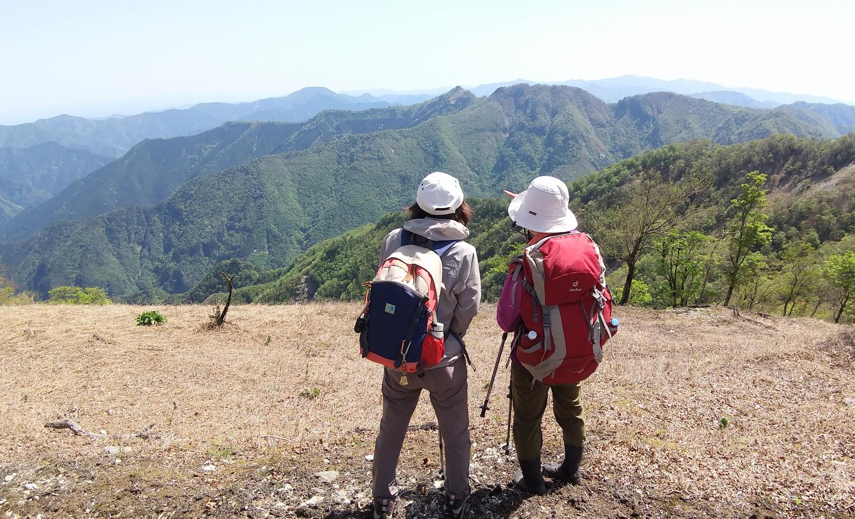 495 迷岳：八知山林道崩壊で高見山に転進 – 迷岳 らくちん – KPTRUF