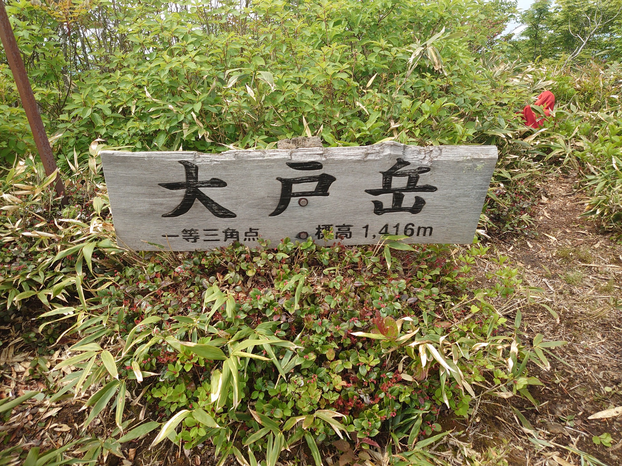 大戸岳 / たつきちさんの大戸岳の活動データ YAMAP / ヤマップ