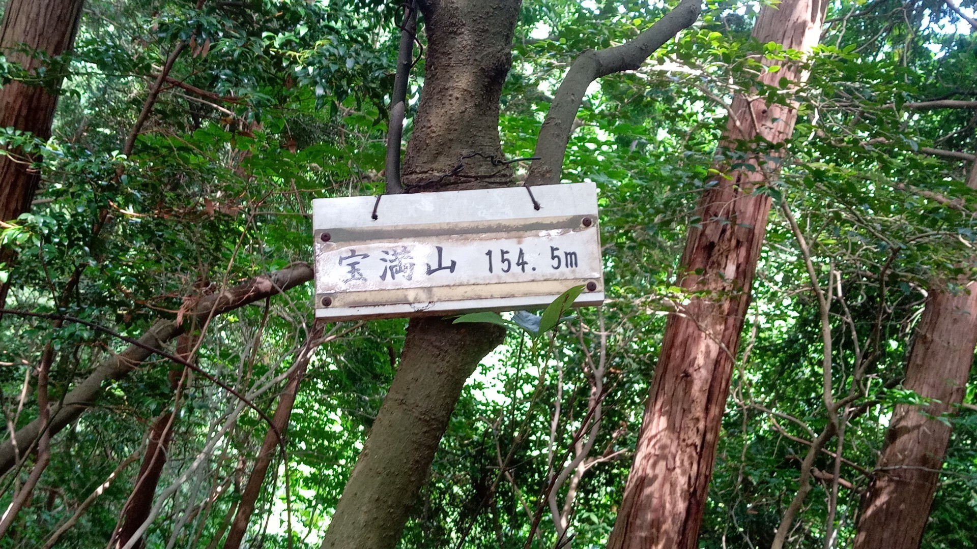 小鬢鏡・鬢鏡山・白山・高山・愛宕山・小藤ヶ熊・宝満山・セビガ尾山 / イチリさんの犬鳴山・西山（鮎坂山）の活動データ | YAMAP / ヤマップ