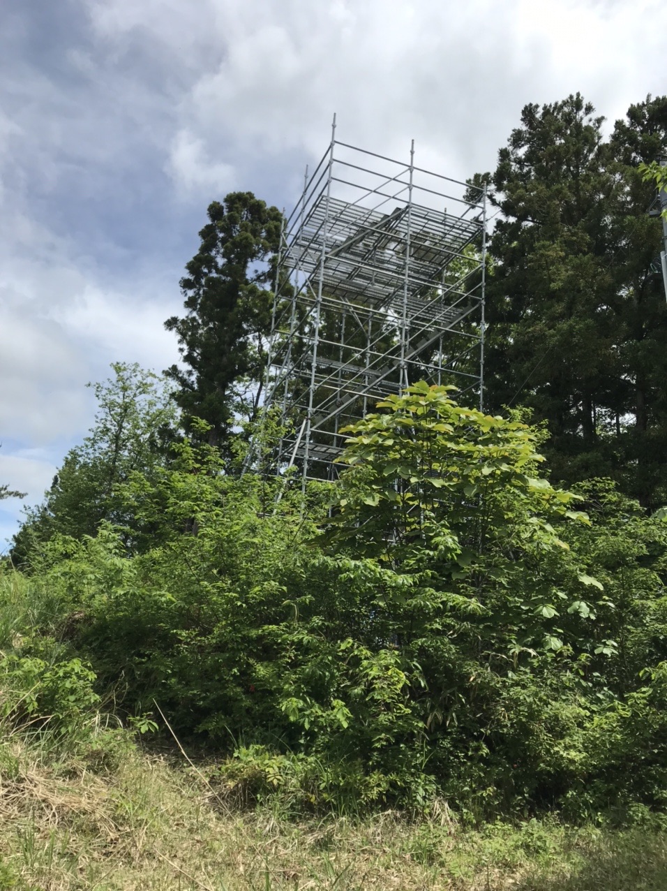 地図記号は電波塔 尻掛山 243 1m さちｇさんの奥州市 東エリア の活動データ Yamap ヤマップ