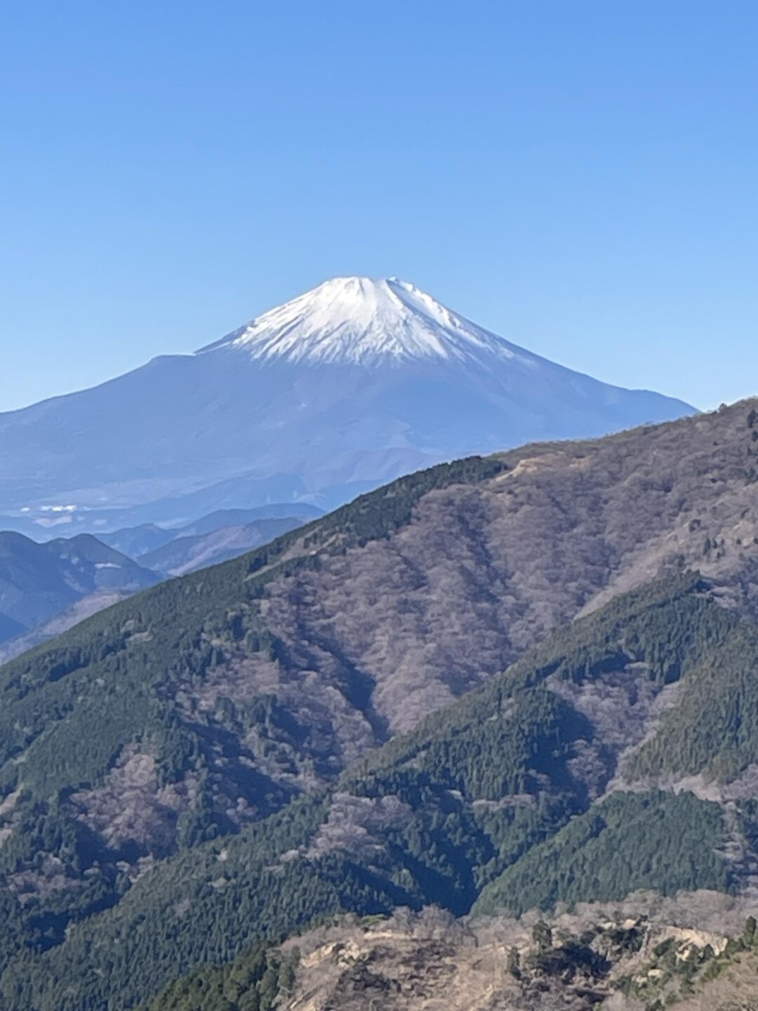 初の大山 / 松一さんの大山の活動データ YAMAP / ヤマップ