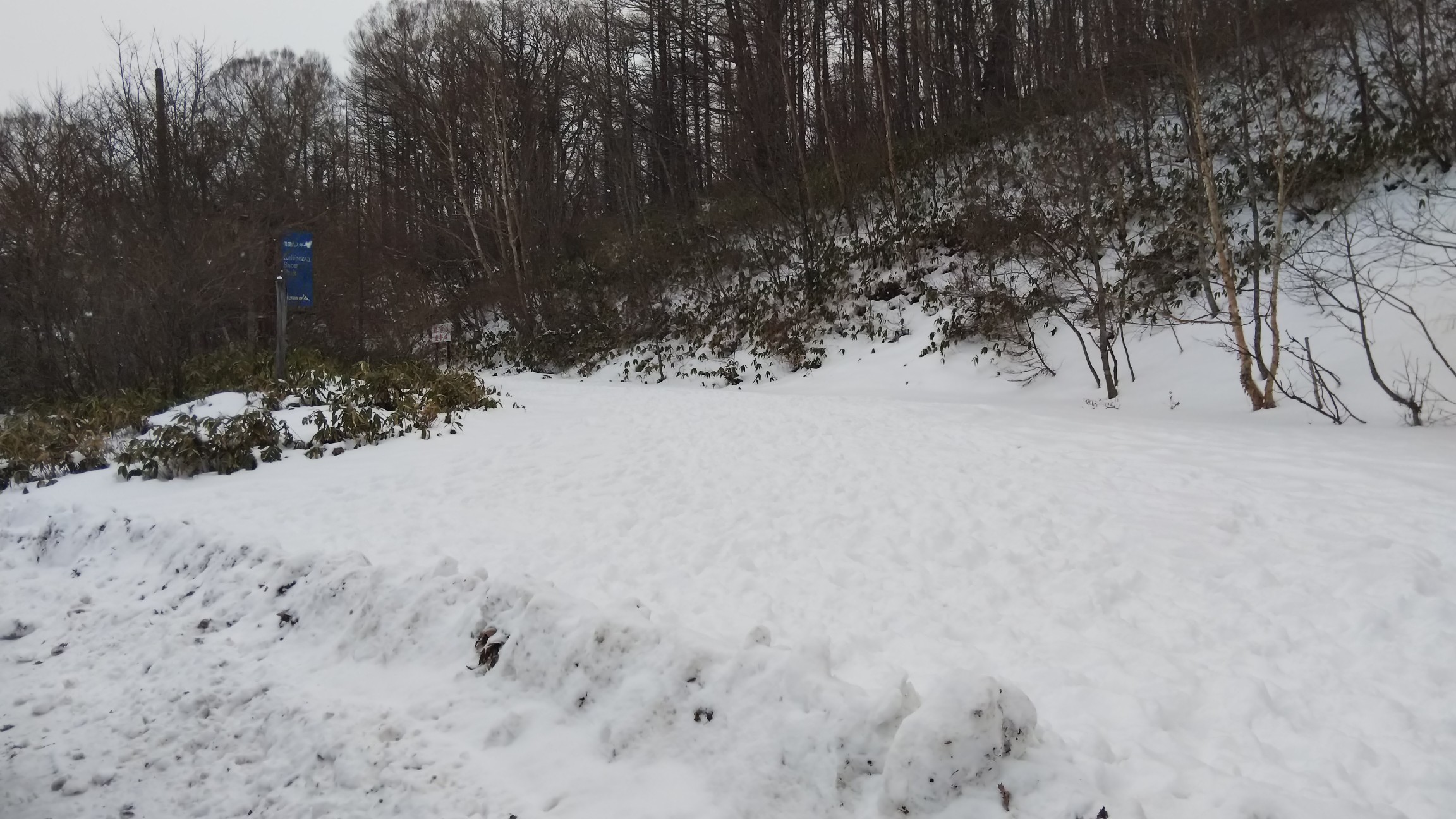 旧メイプルヒルスキー場の入口