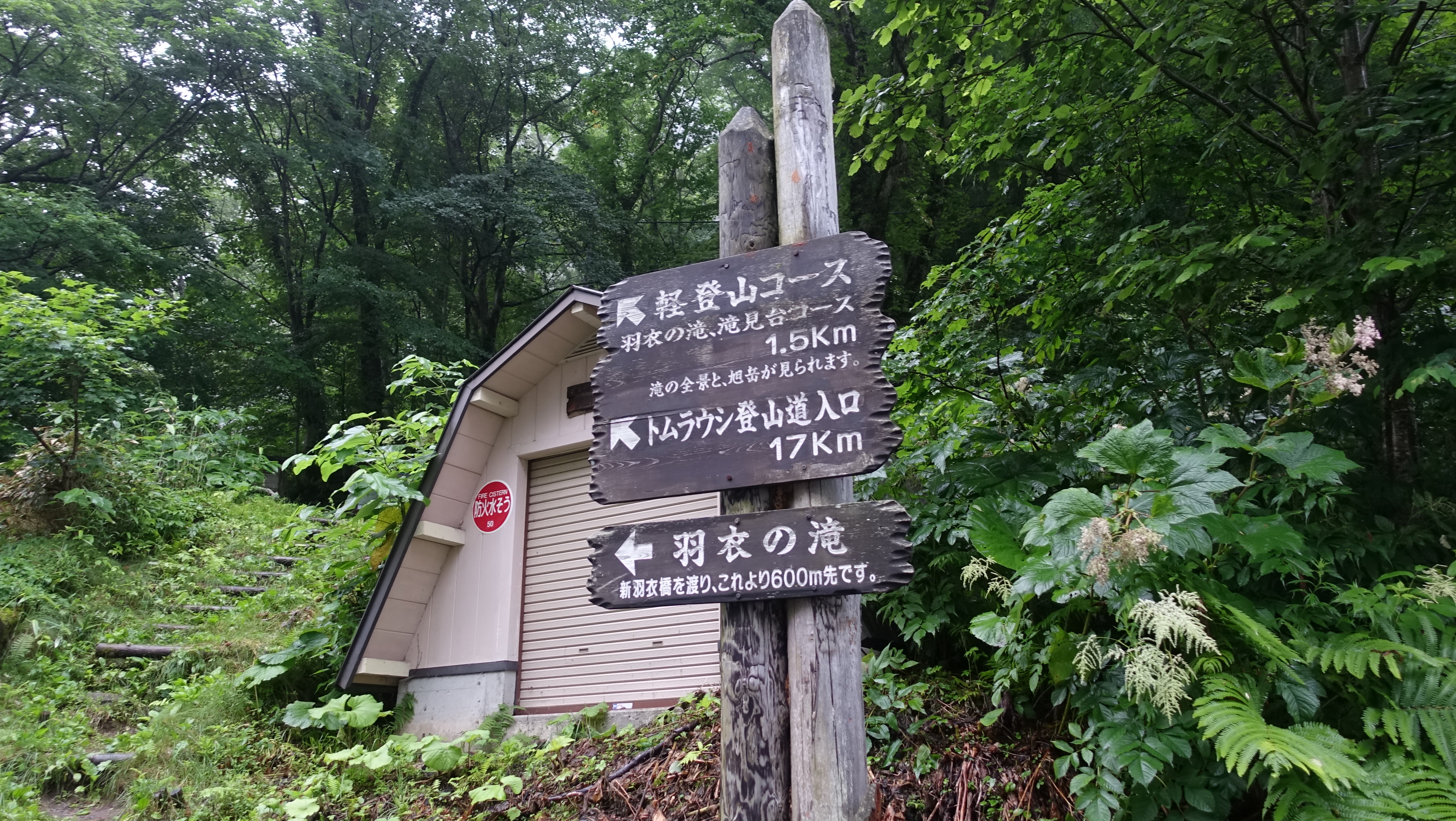 天人峡から化雲岳ピストンはハードでした くまきちさんの大雪山系 旭岳 トムラウシの活動日記 Yamap ヤマップ