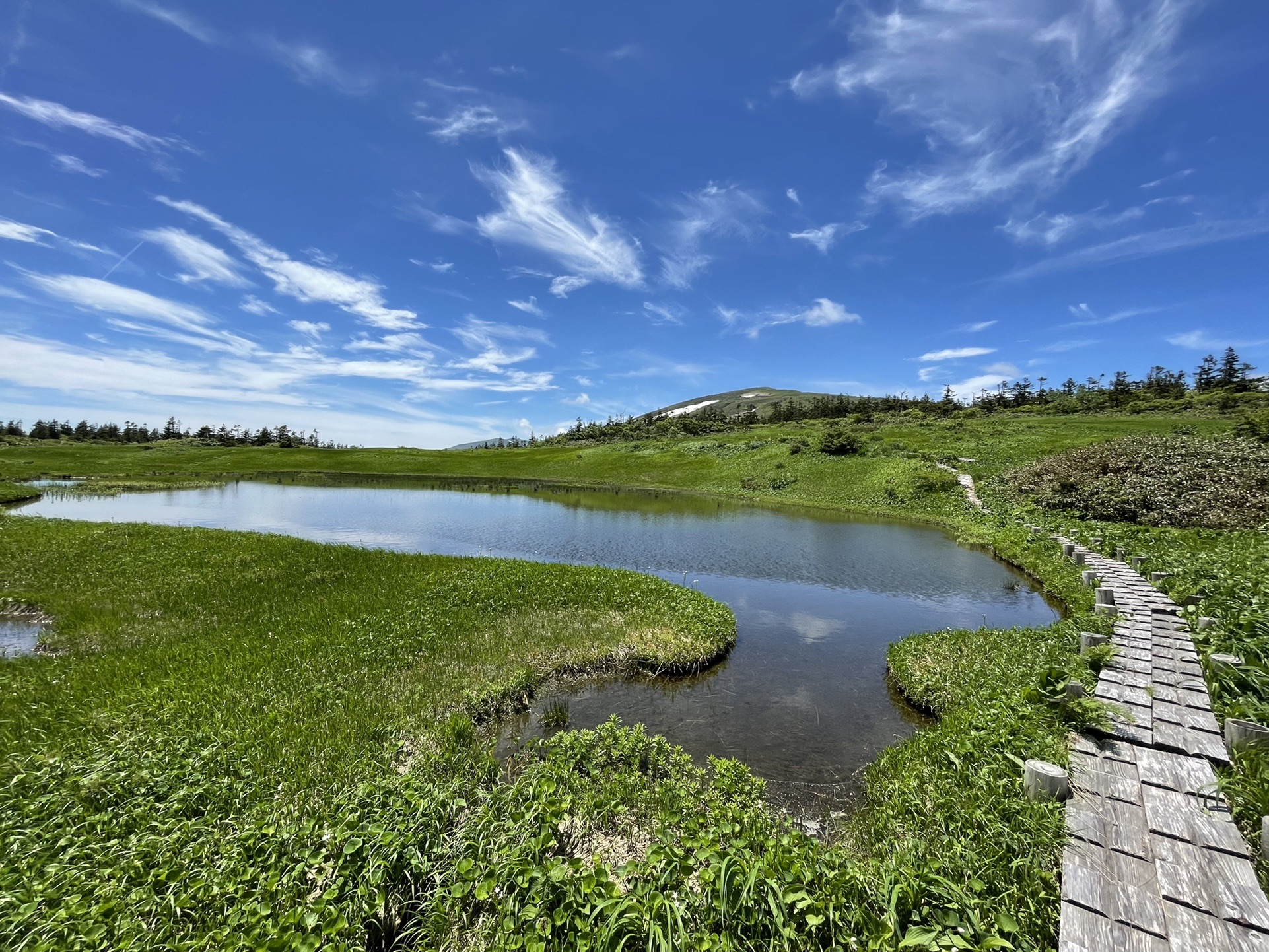 ハウルの花畑を見に 笹森山 湯森山 笊森山 烏帽子岳 乳頭山 やわさんの乳頭山 湯森山 大白森の活動データ Yamap ヤマップ