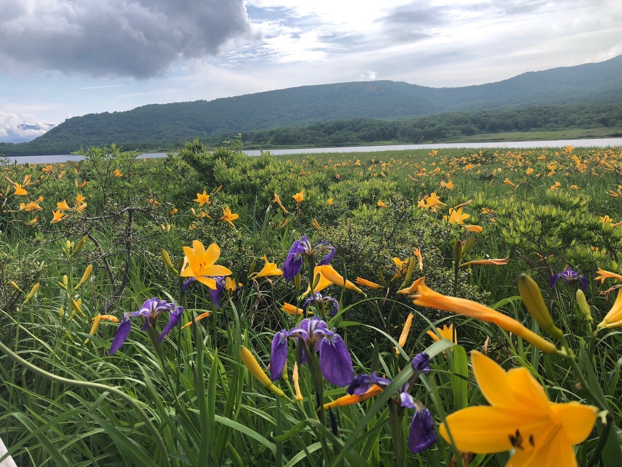 雄国沼・雄国山（雄子沢から） / もーじーさんの磐梯山・雄国山・赤埴山の活動データ YAMAP / ヤマップ