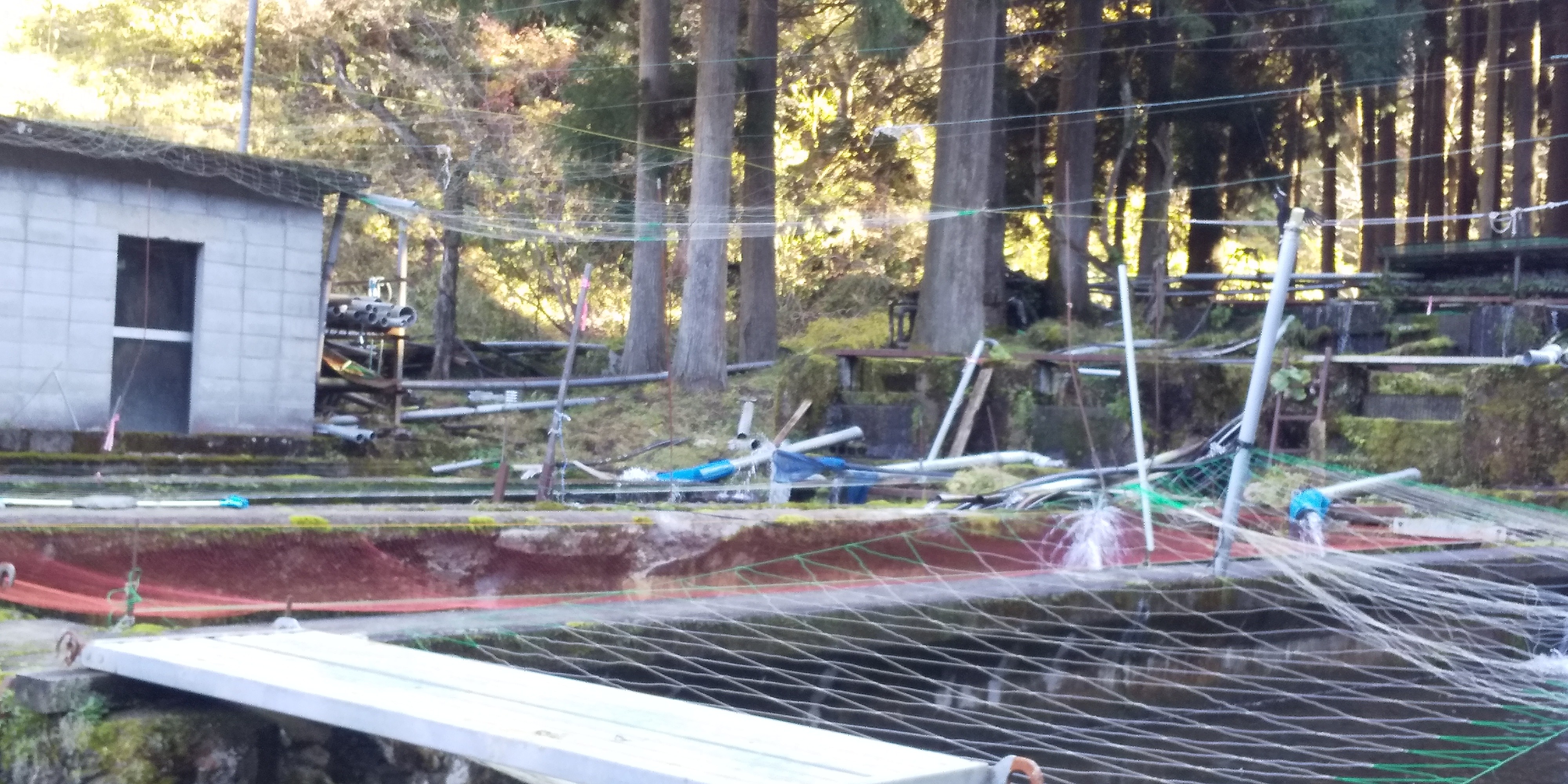 秋深し 紅葉の 霧ヶ滝 Kei Keiさんの扇ノ山の活動日記 Yamap ヤマップ