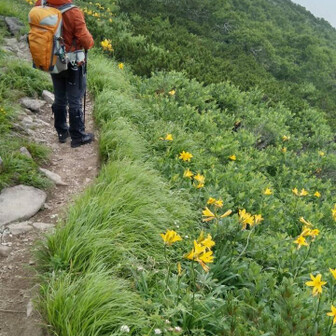 toshi 爺📩☕🌸