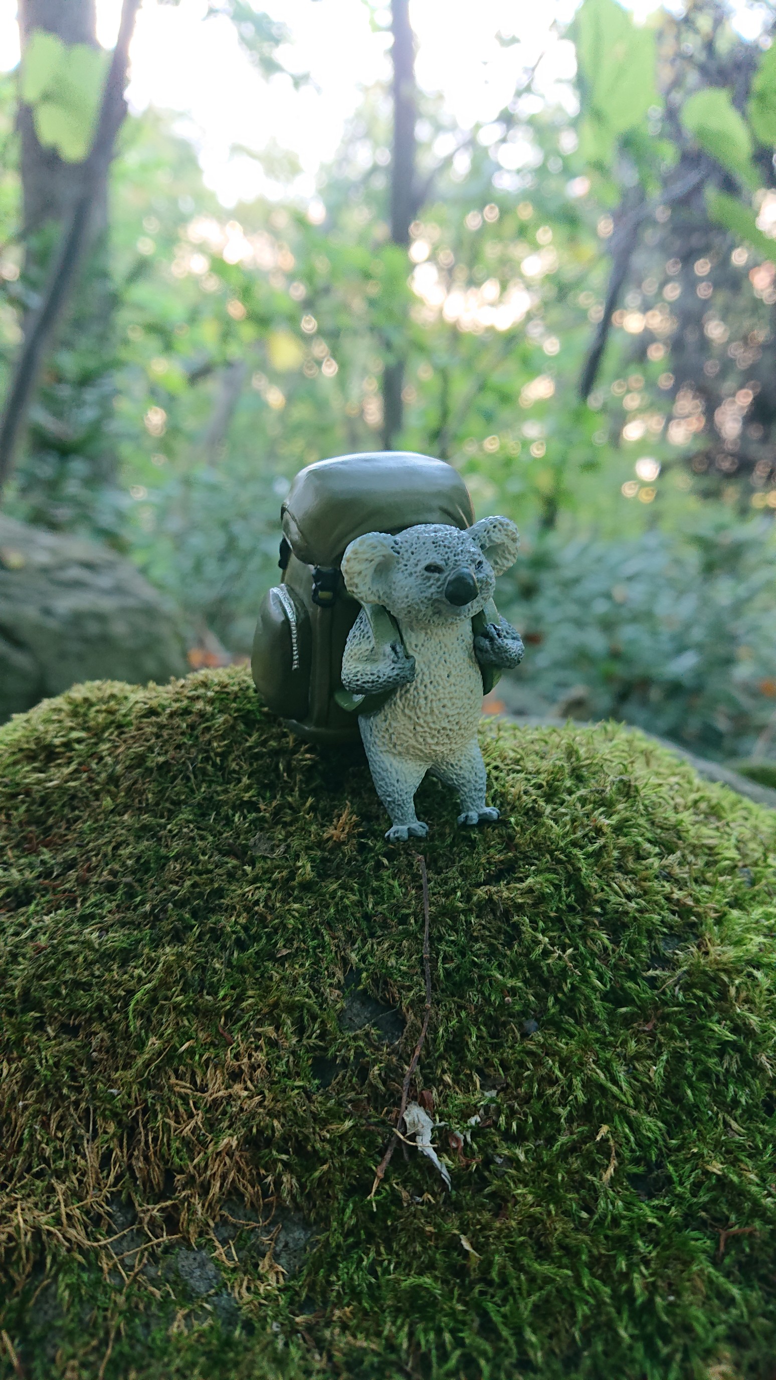 札幌平和塔 10 13 水玉わかめさんの藻岩山の活動データ Yamap ヤマップ