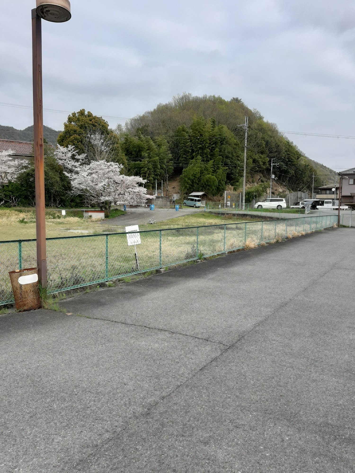 岩木の大山桜はコレだ 生駒山 大鳥山 鍛治山 舟谷山 鳳凰山 岩木山 一本松 大観峰 小美女平 羽山 まるさんさんの上郡アルプス 生駒山の活動日記 Yamap ヤマップ