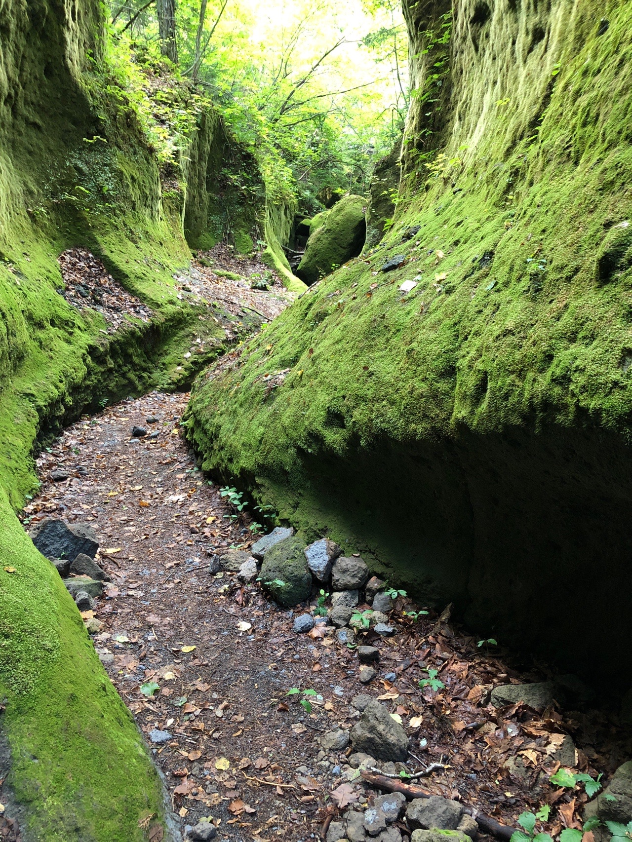 苔の洞門から風不死岳 前編 いなかおっさんさんの樽前山 風不死岳の活動データ Yamap ヤマップ
