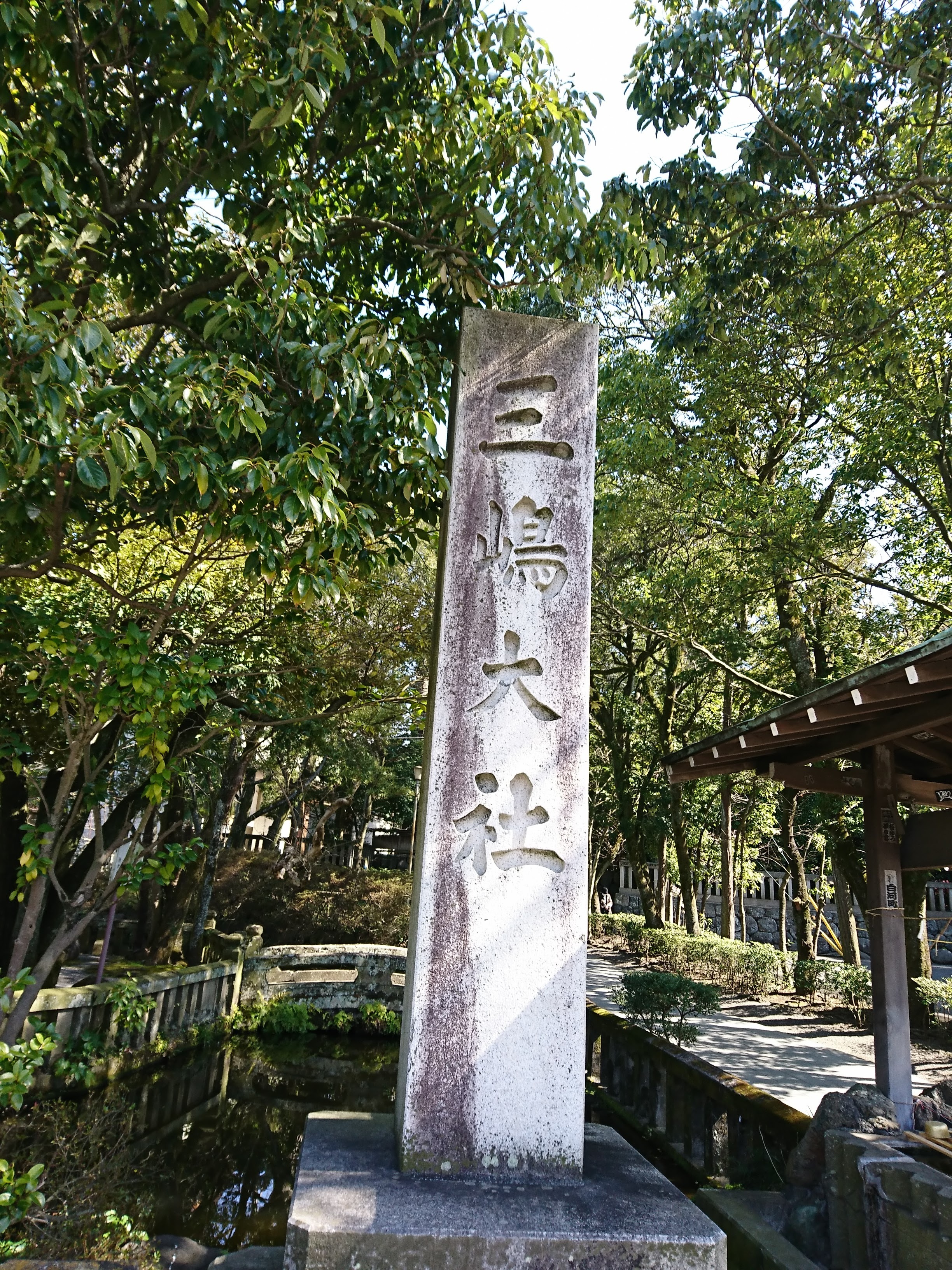 下田街道1 三島 大仁 チョビ04さんの天城山 鉢ノ山 三筋山の活動データ Yamap ヤマップ