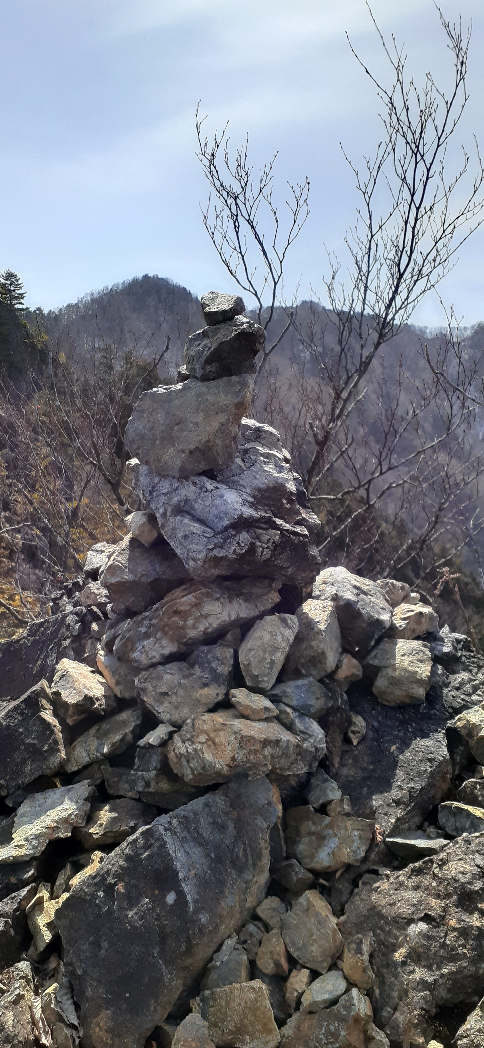諏訪山経由 八丁尾根から両神山 Peakerさんの両神山 諏訪山 二子山の活動日記 Yamap ヤマップ