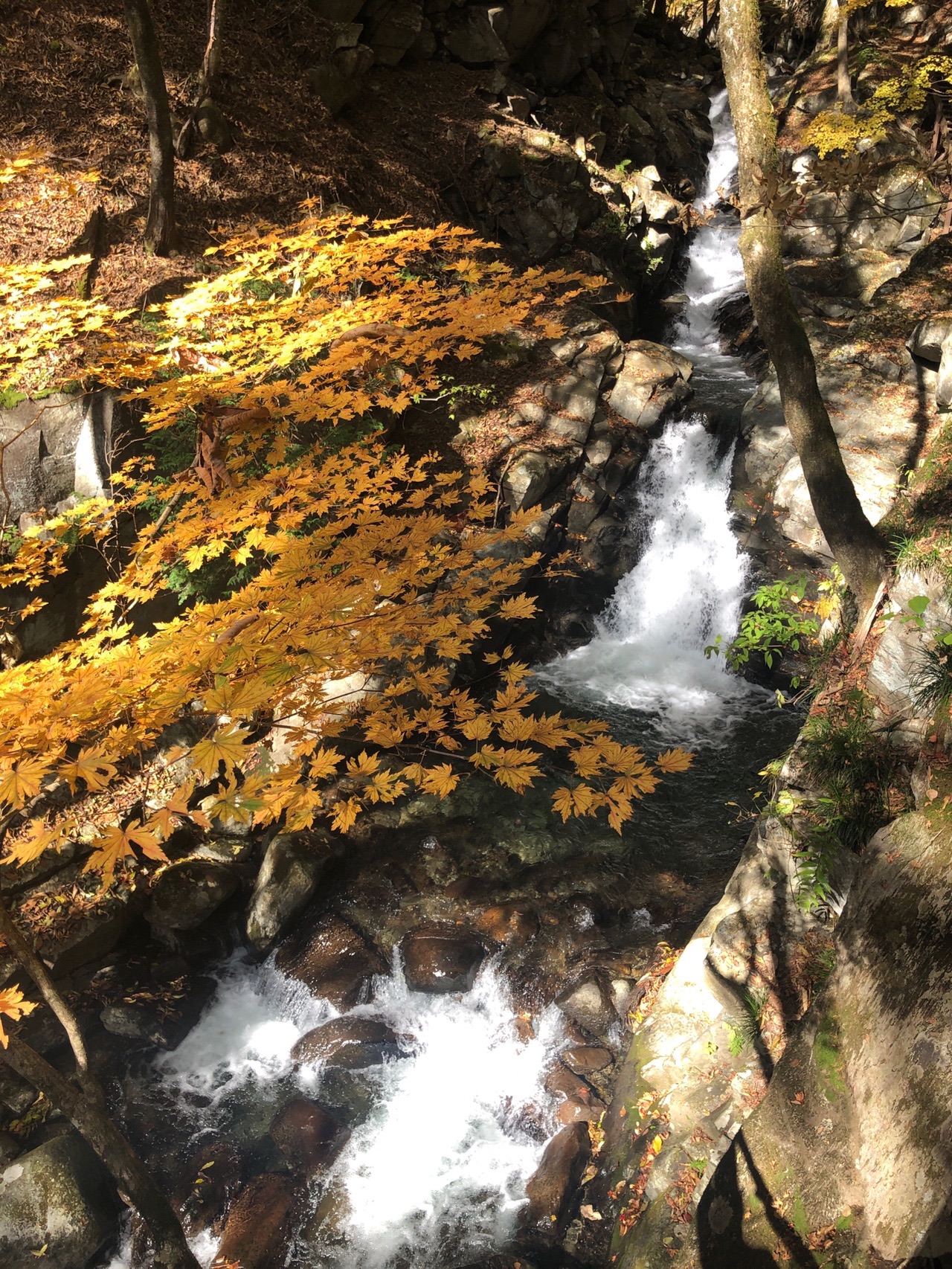 徳和渓谷ハイキング msさんの乾徳山 黒金山の活動データ Yamap ヤマップ