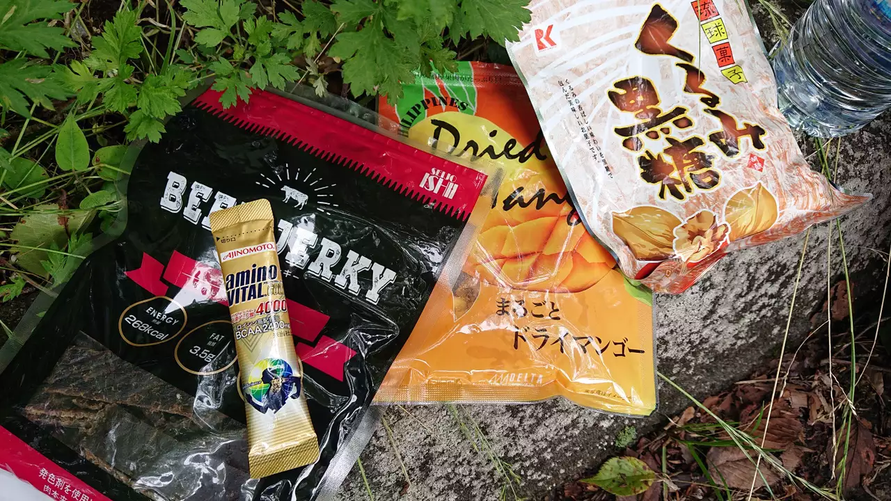 富士山 最古の富士登山道 村山道2日目 富士曼荼羅図参詣ルートを辿り富士詣 2019 07 11 ふじ爺さんの富士宮市の活動日記 yamap ヤマップ