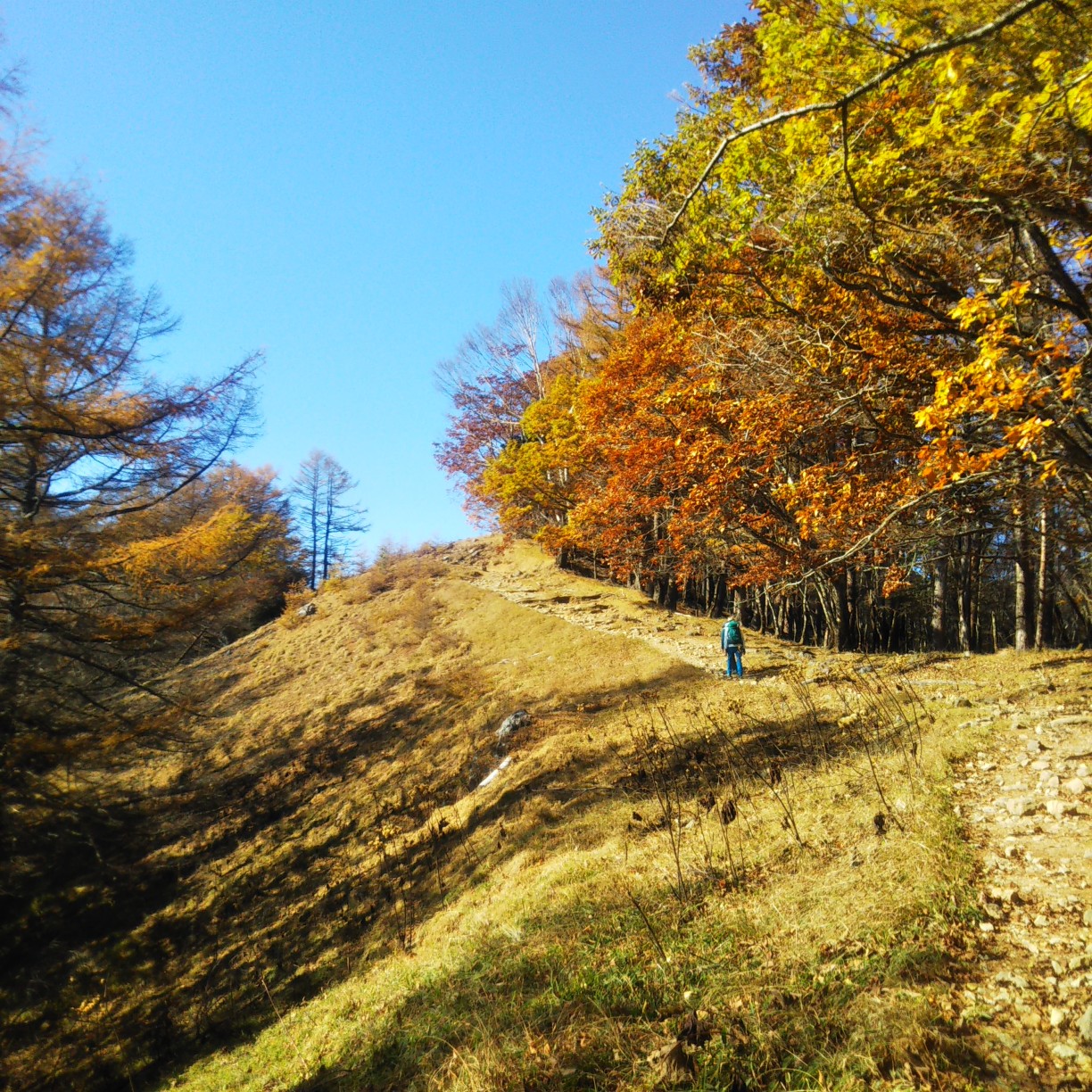登山の心得ってなんだろう 紅葉の雲取山 鴨沢 三峰神社 オキさんの雲取山 鷹ノ巣山 七ツ石山の活動データ Yamap ヤマップ