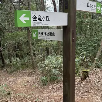 左側の下る道は日枝神社裏山だそうで、行った事も無くまたどこかでチャレンジします