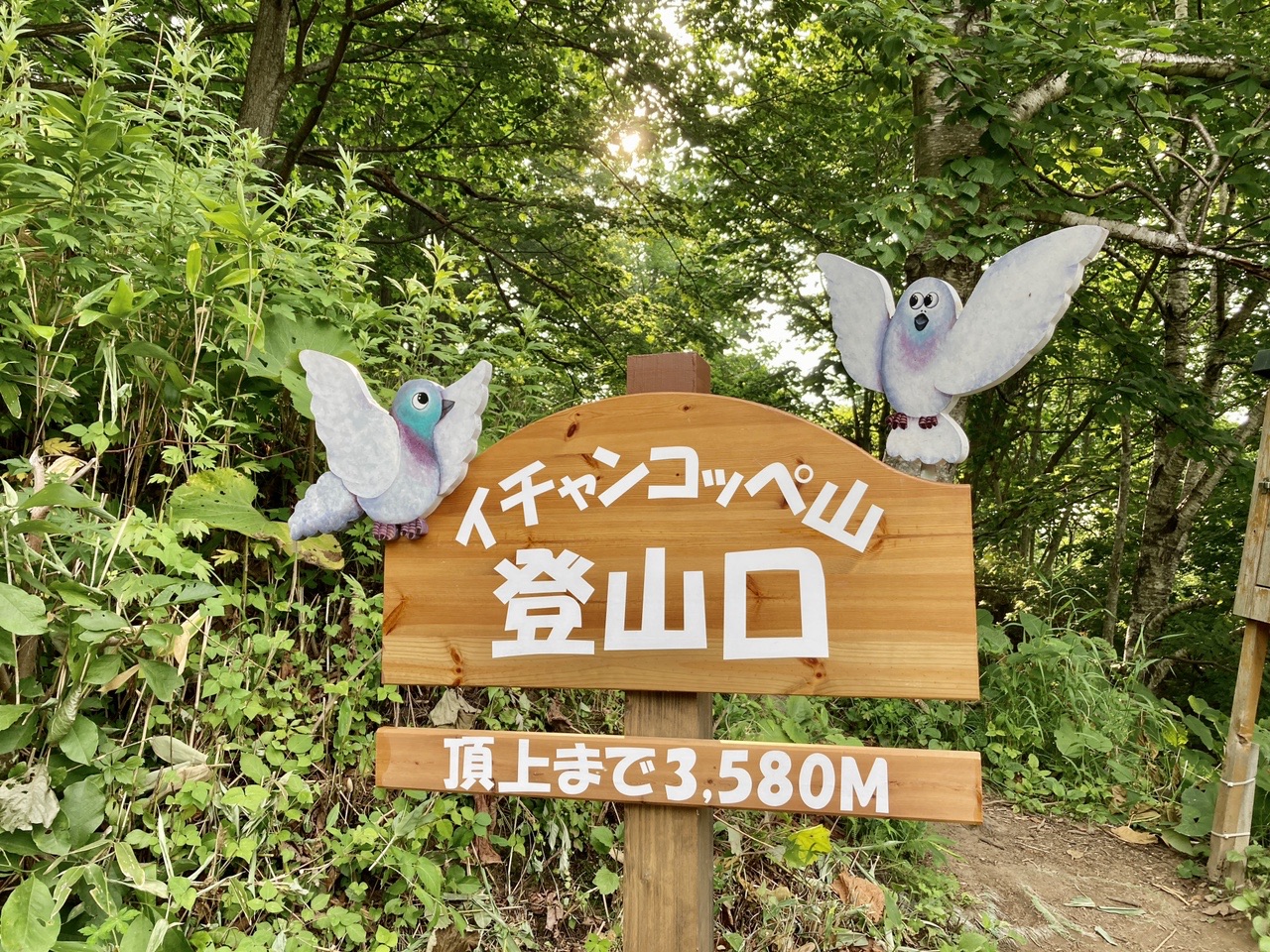 イチャンコッペ山 可愛い標識ハント 2525bbさんのイチャンコッペ山の活動データ Yamap ヤマップ