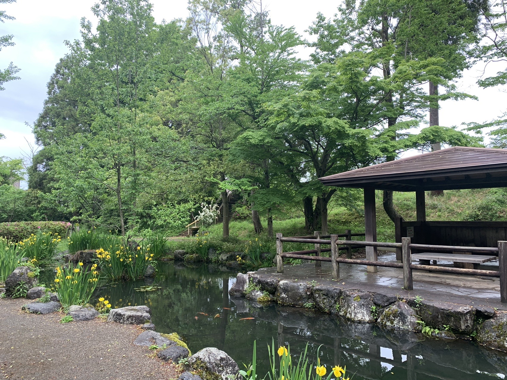 行田公園 05 16 タカシィさんの富山市の活動日記 Yamap ヤマップ
