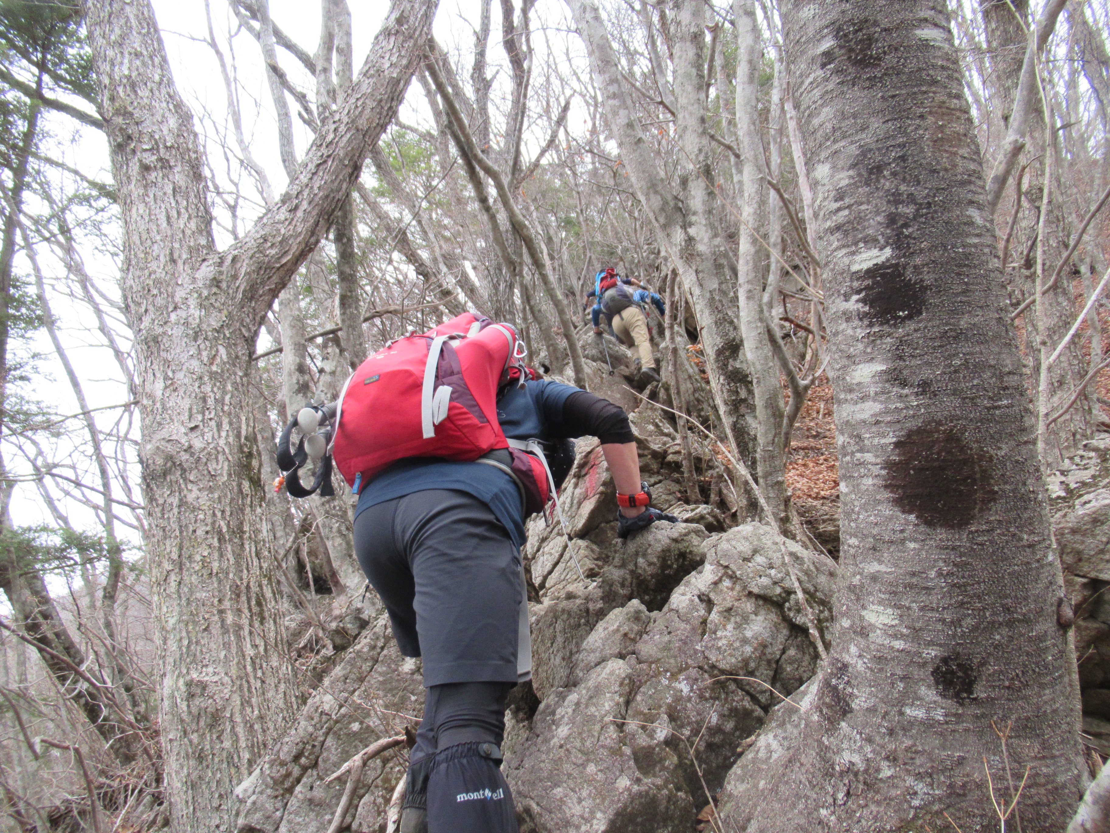 滝子山 浜立山 Bedsさんの滝子山 大谷ヶ丸 笹子雁ヶ腹摺山の活動データ Yamap ヤマップ