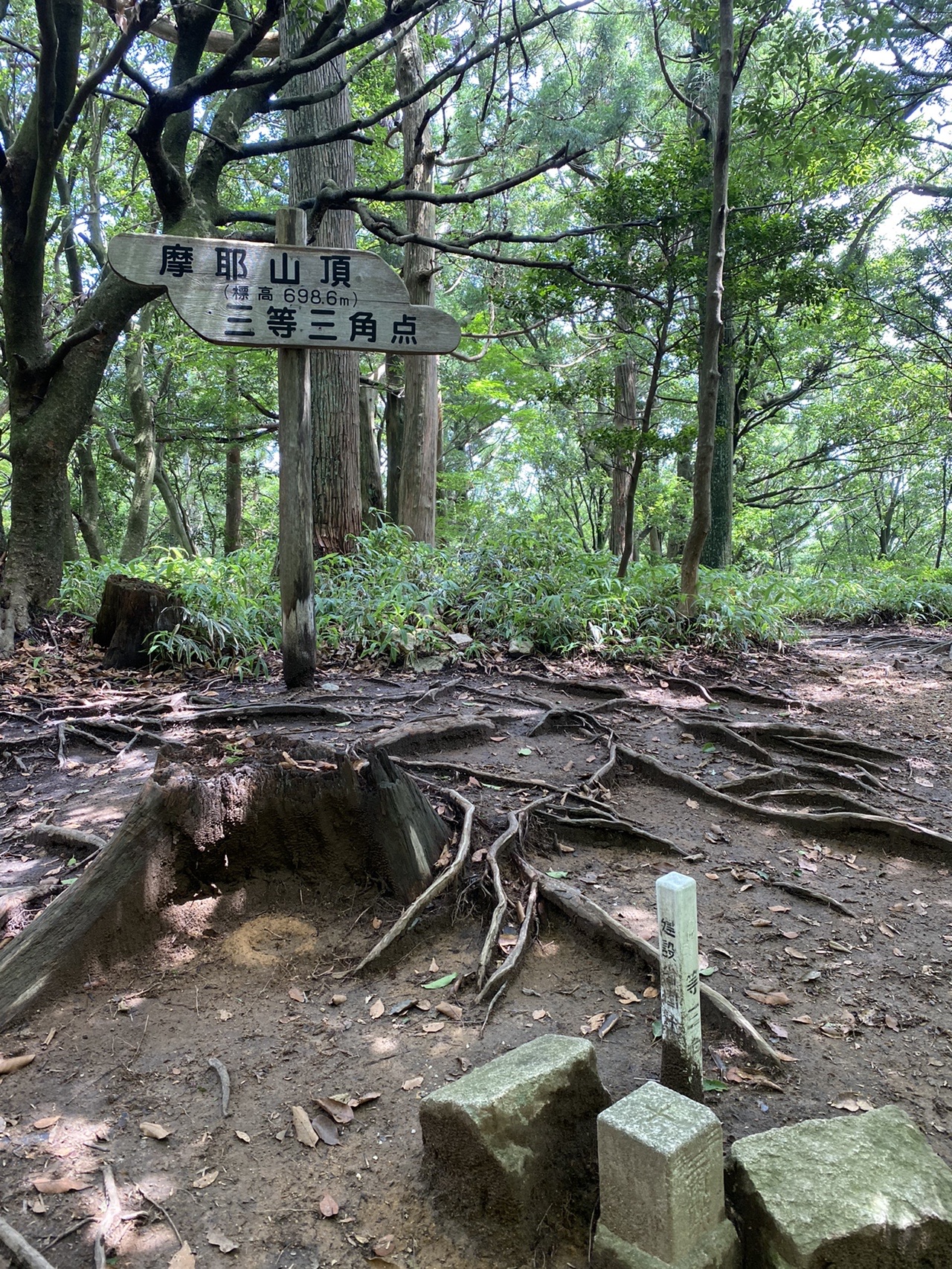 摩耶山 摩耶別山 しのひろさんの六甲山 長峰山 摩耶山の活動日記 Yamap ヤマップ