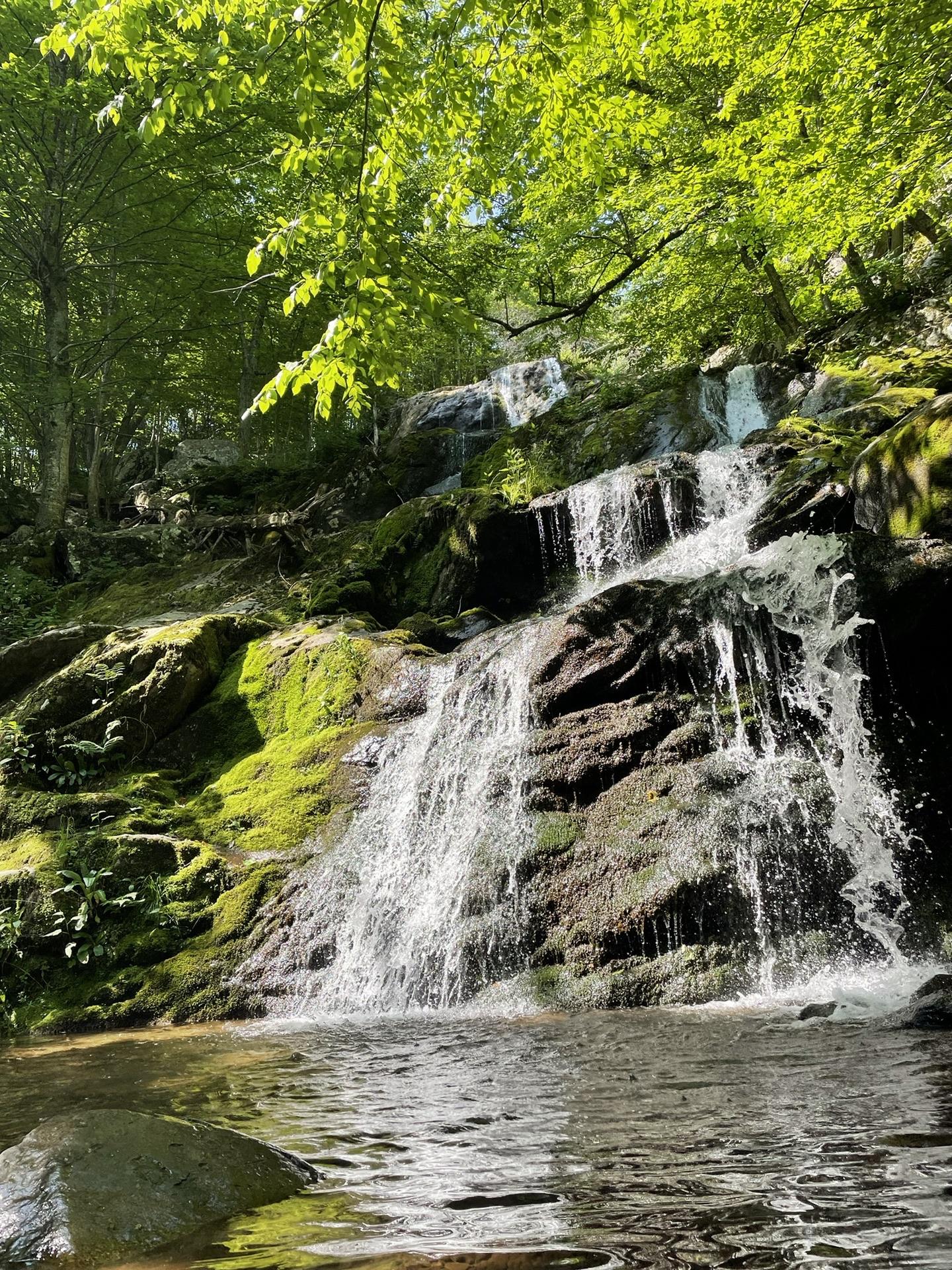 Dark Hollow Falls Trail Shenandoah - Ce65de22 0ecf 4df9 Be3b 04ccee940ca7