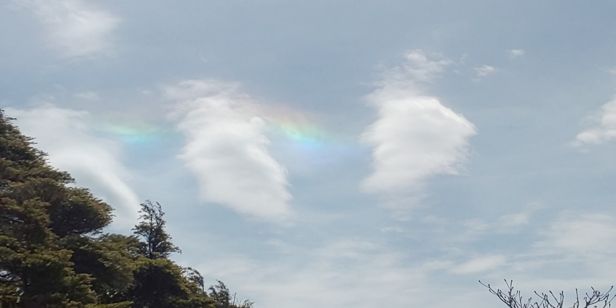 珍しい虹をみた小秀山 Ababyさんの小秀山の活動日記 Yamap ヤマップ
