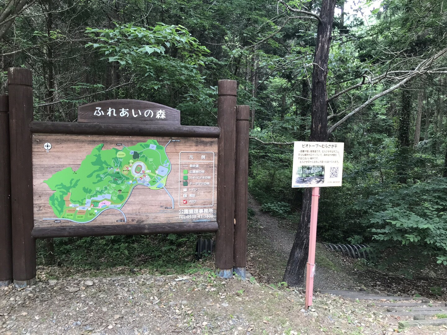 三ツ峰 小笠山ハイキング 19 06 02 たかゆきさんの小笠山の活動日記 Yamap ヤマップ