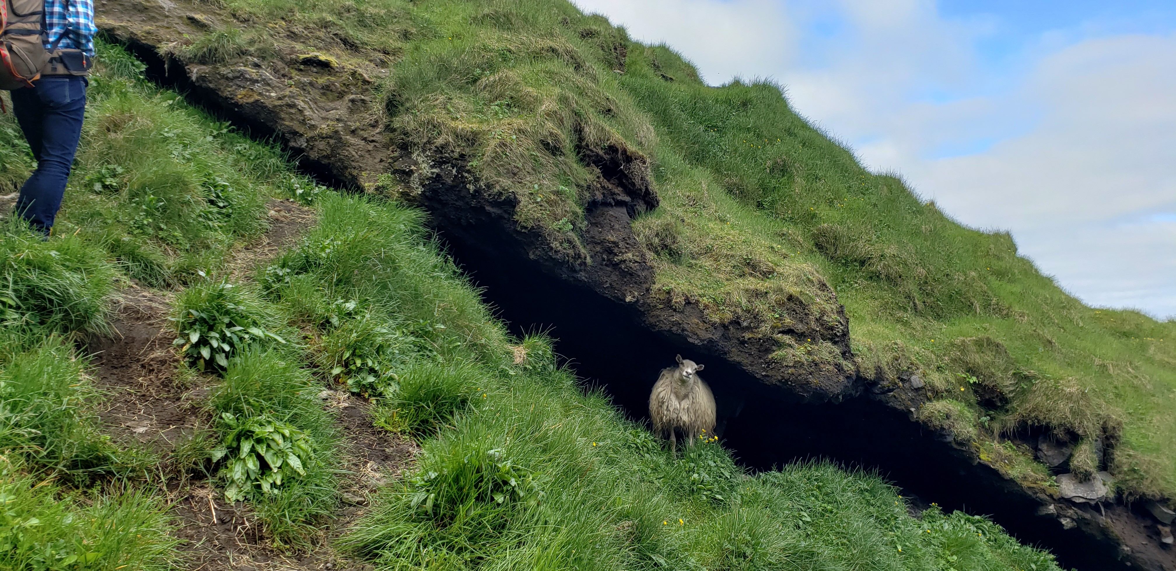 ヴェストマン諸島 アイスランド あきさんのランドマンナロイガルの活動データ Yamap ヤマップ