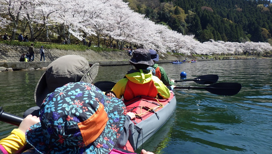 琵琶湖のお花見スポット 海津大崎 でまったりお花見カヤック たけじゅんさんの琵琶湖 北側の活動データ Yamap ヤマップ