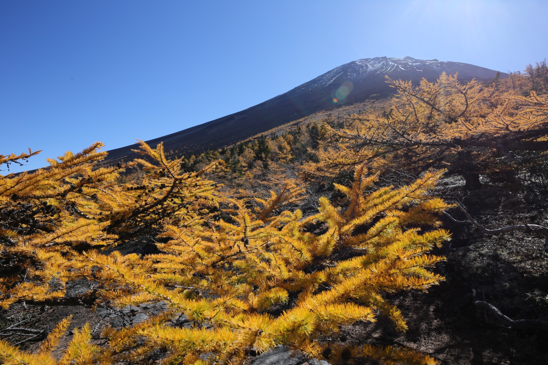 富士山 紅葉の御中道 だいのじさんの富士山の活動データ Yamap ヤマップ