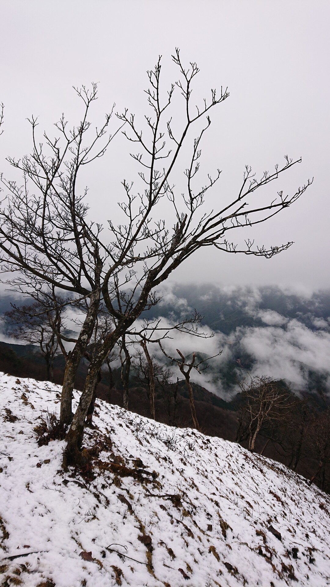 高見山 01 26 Ashさんの高見山 黒石山 天狗山の活動データ Yamap ヤマップ