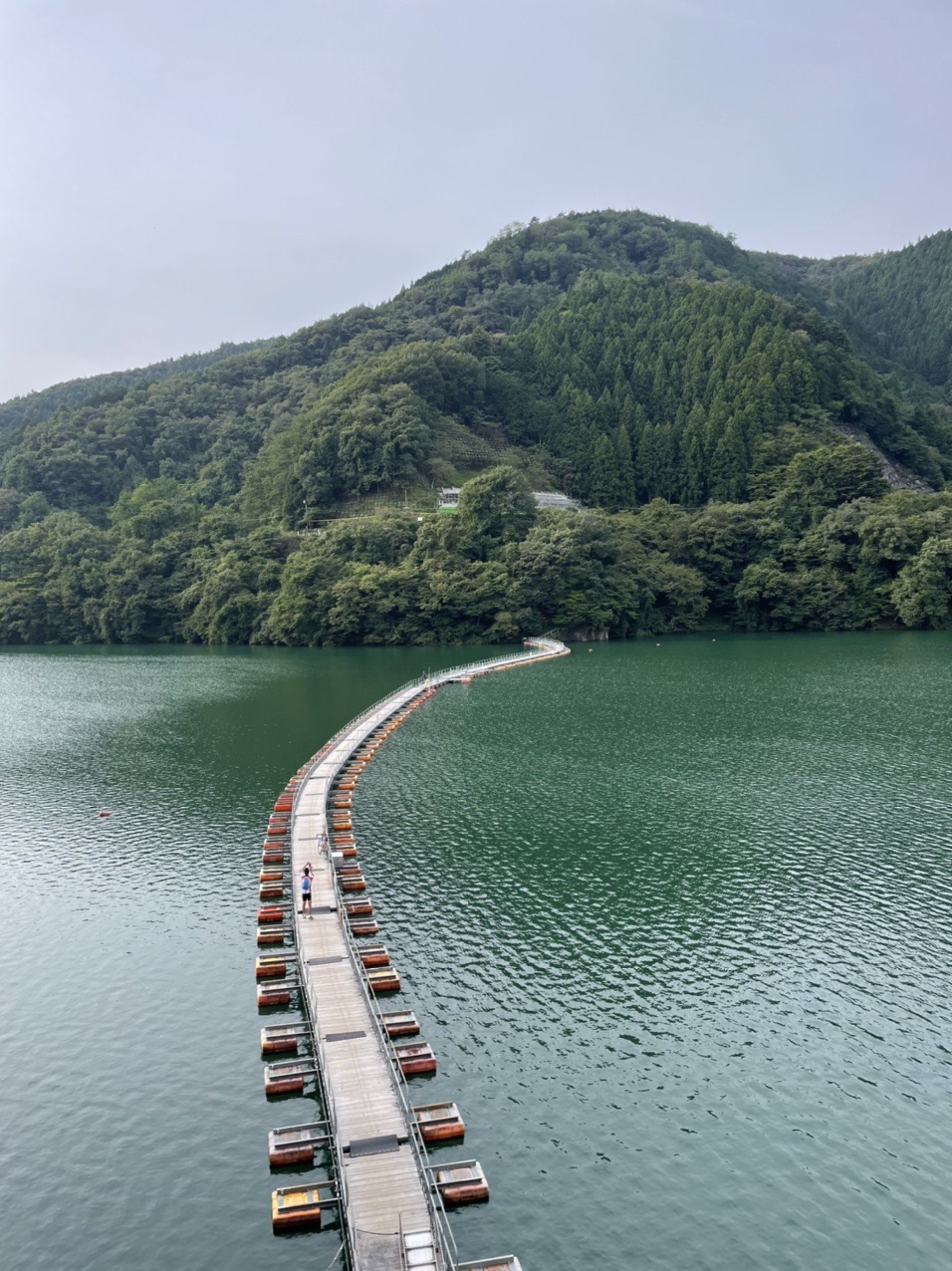 奥多摩湖の浮橋から三頭山へ ふらっとひるずさんの三頭山 槇寄山 土俵岳の活動データ Yamap ヤマップ