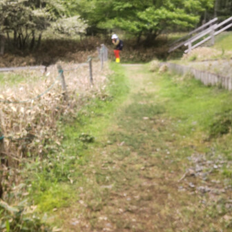 でも分岐ではちゃんと待ってるんですよね(笑)