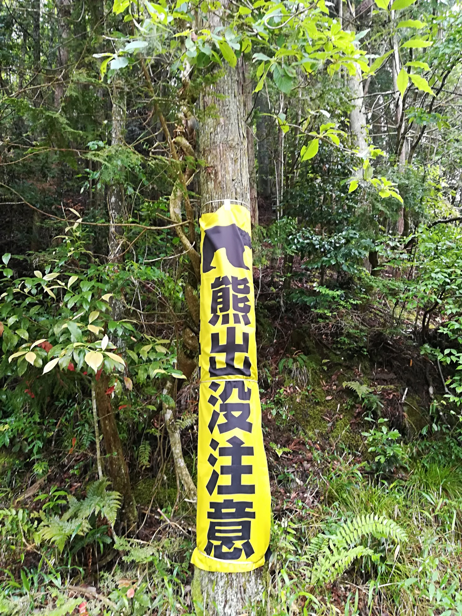 阪急上桂駅 ポンポン山 チャレンジ ポンポン登山道までしんどかった おかたろうさんのポンポン山 釈迦岳 小塩山 若山の活動データ Yamap ヤマップ