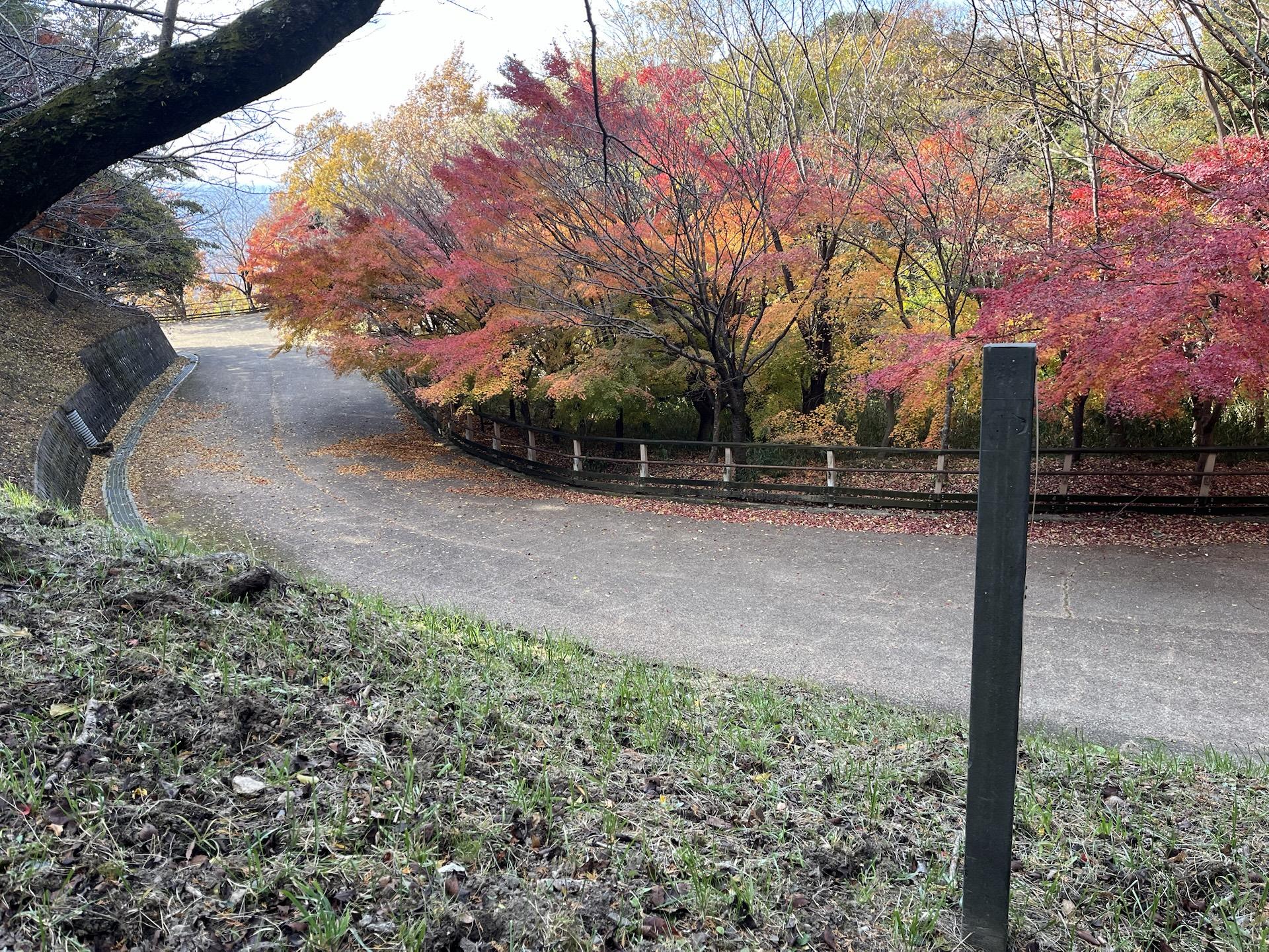 あらたやま spj-44h.jpg