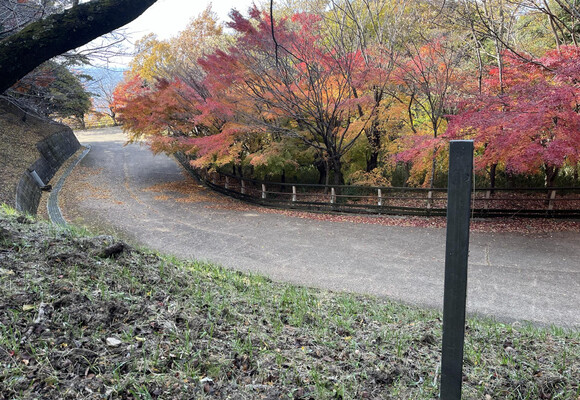 タタラ山の最新登山情報 / 人気の登山ルート、写真、天気など | YAMAP