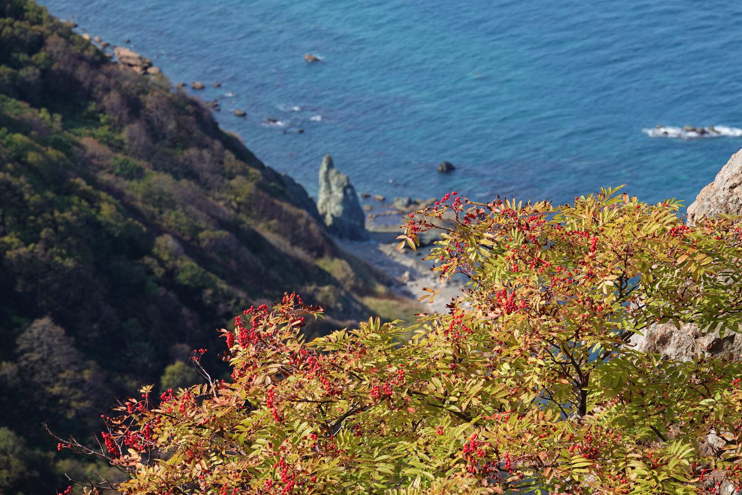 下赤岩山 往復コースの地図 登山ルート 登山口情報 Yamap ヤマップ