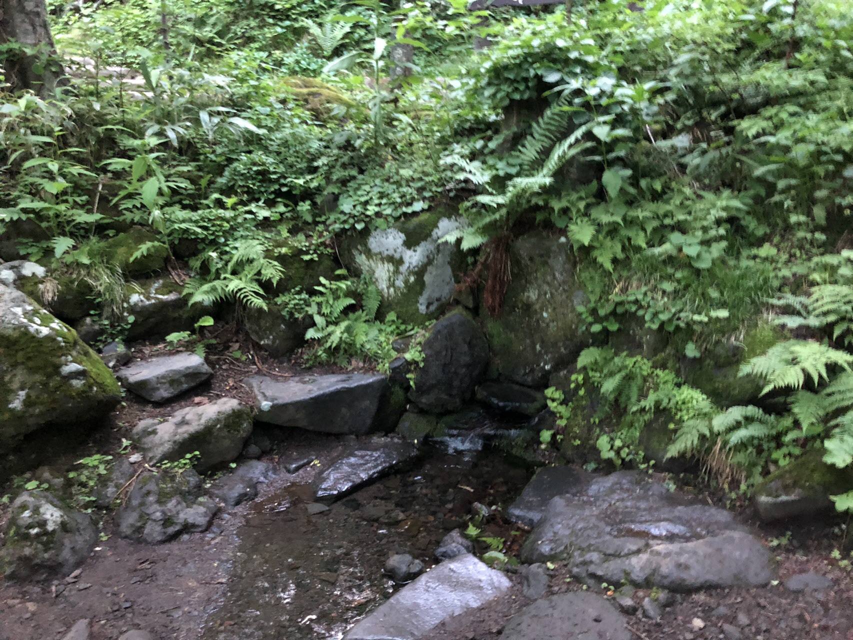 利尻山 鴛泊から沓形へ みわたんさんの利尻島 利尻山の活動データ Yamap ヤマップ