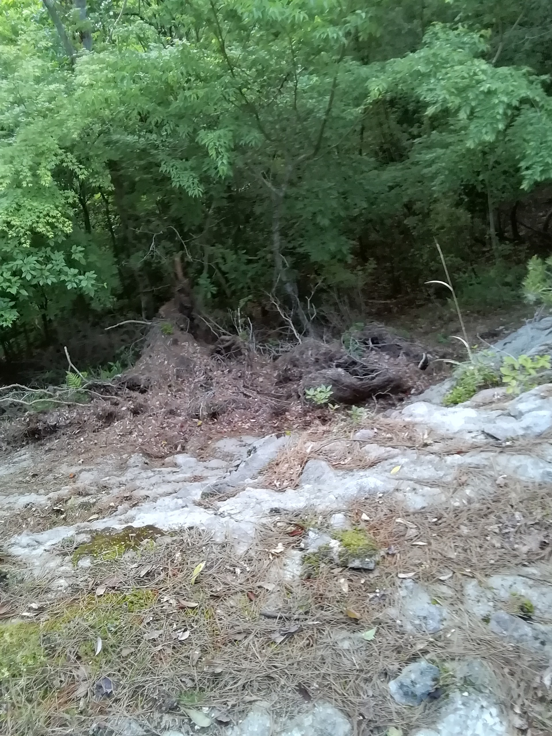 ウラヒコルートファインディングシュゲンドー ミラーq Q と呼んでね さんの英彦山の活動日記 Yamap ヤマップ