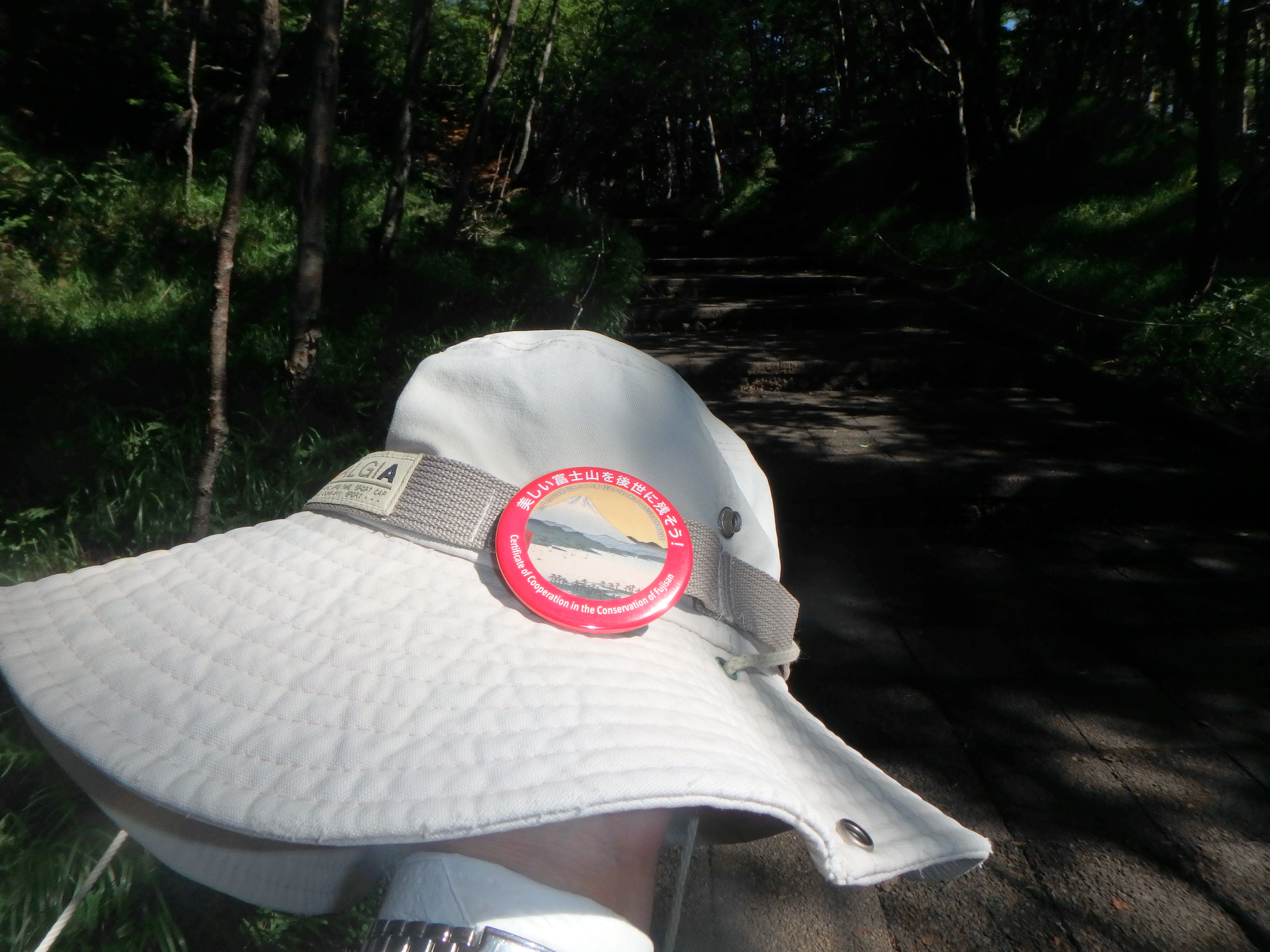 富士山 2019 08 04 日帰り山歩さんの富士山の活動日記 Yamap ヤマップ