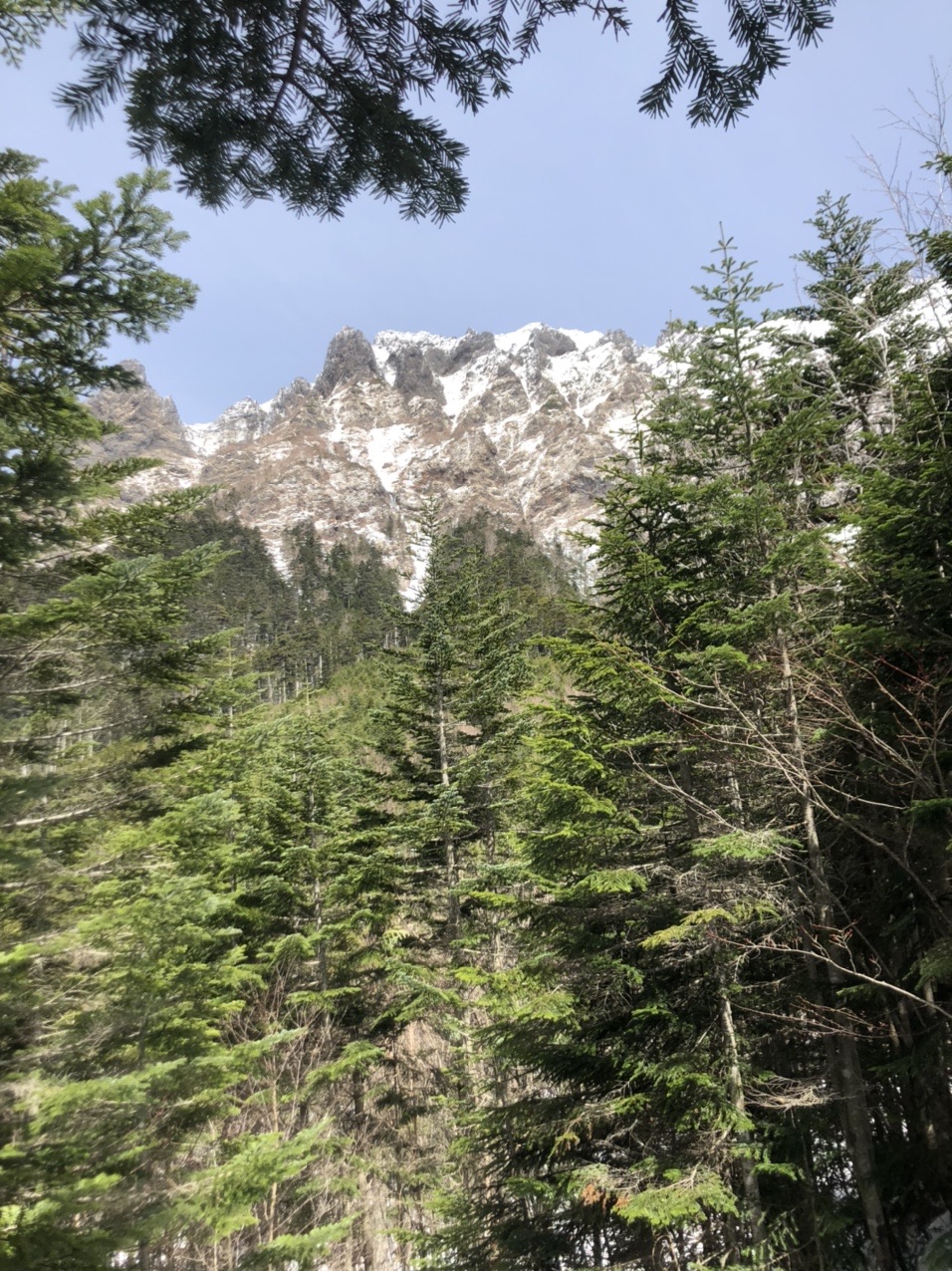 八ヶ岳Ggです 中古】スリクソン ZXi LS ドライバー KURO KAGE XT 70 9 S B