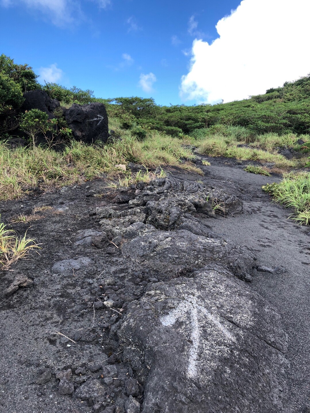 三原山 赤ダレ Tkgさんの伊豆大島 三原山の活動日記 Yamap ヤマップ