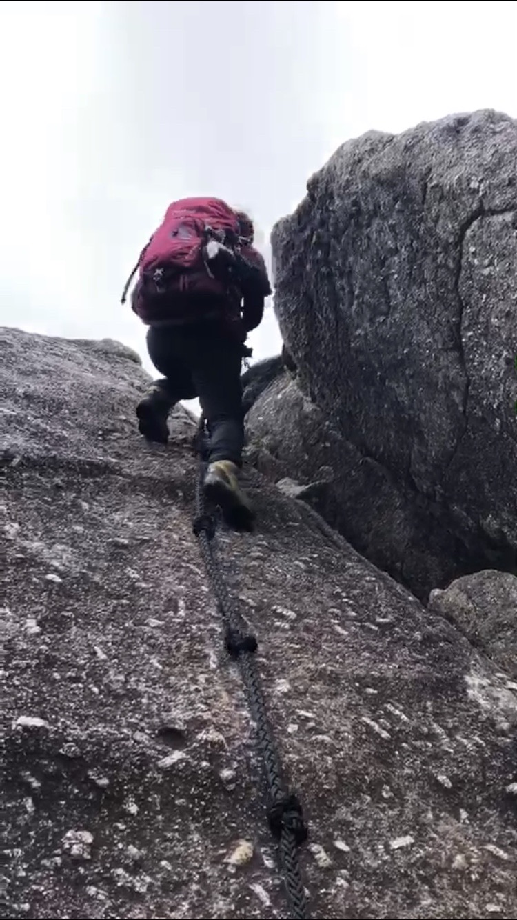 モッチョム岳 Tamachikinさんの屋久島 宮之浦岳の活動日記 Yamap ヤマップ