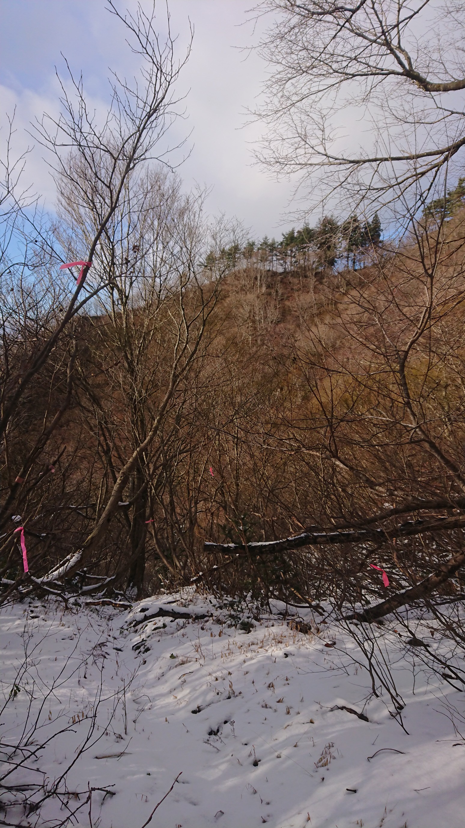 木六山・銀次郎山 水無平より佛峠(杉のあるところ)