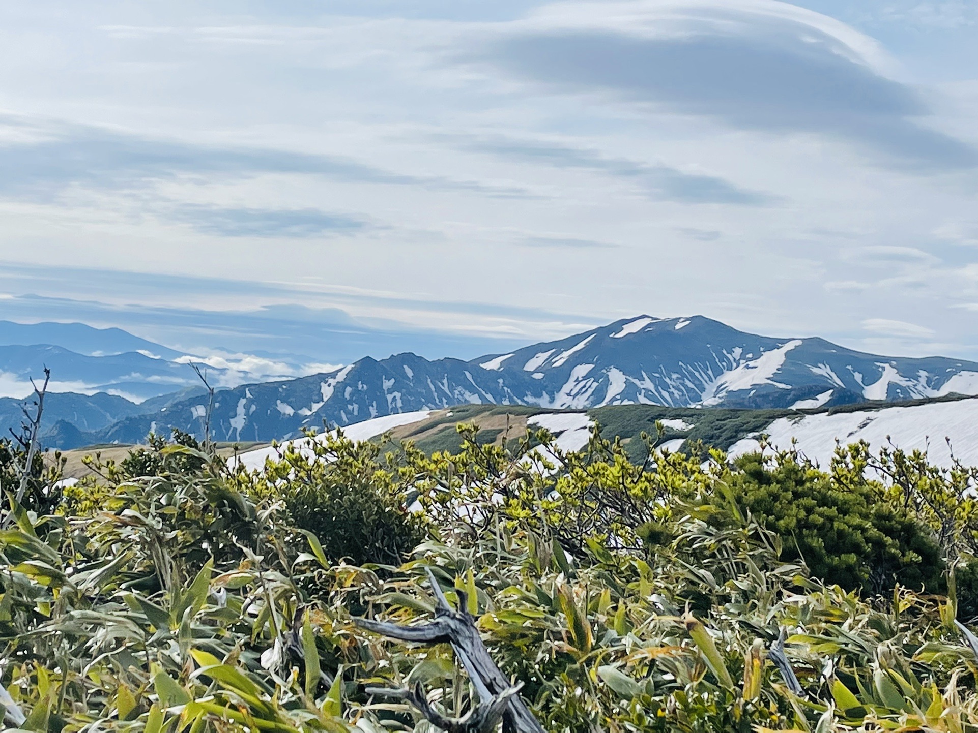 もう一度、本山✨
もしかしてダイグラ尾根ってあのギザギザですか？