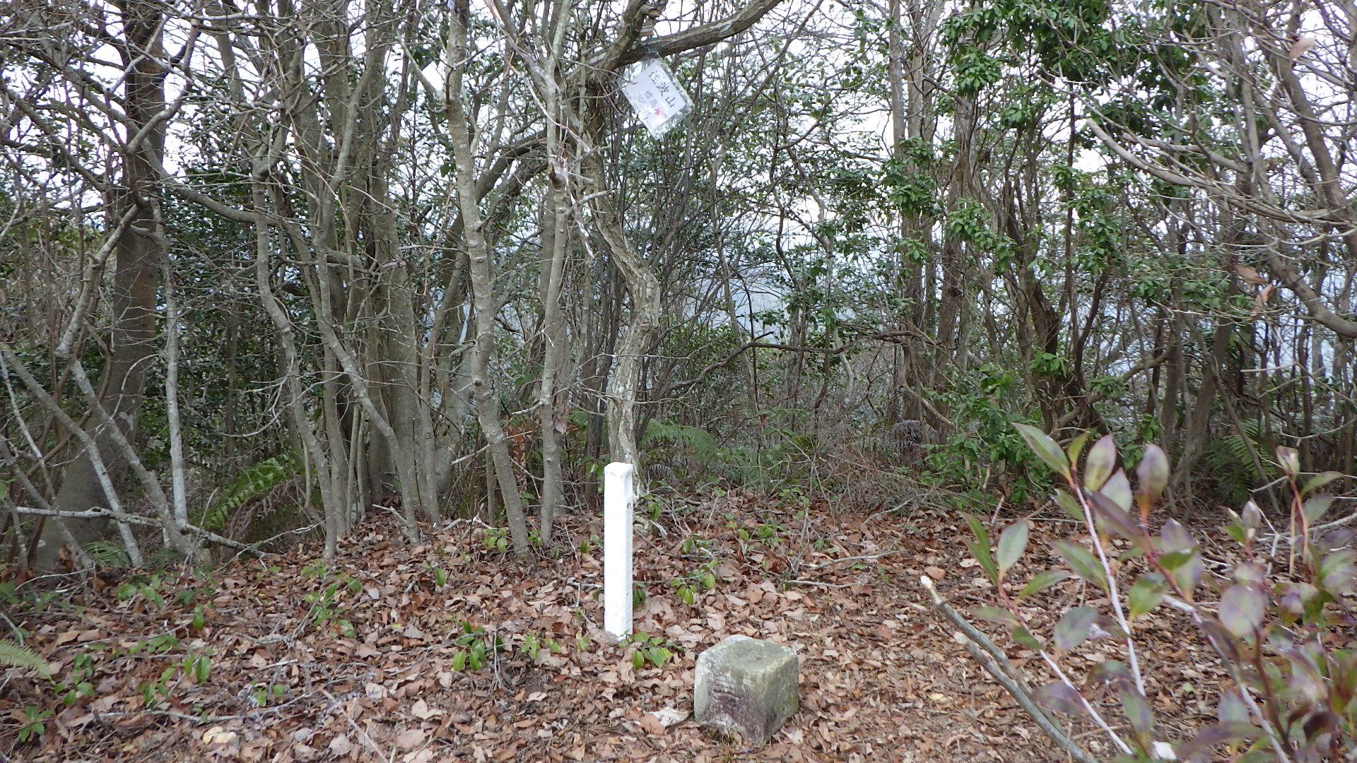 佐波山 / 志馬鹿さんの山口市の活動データ YAMAP / ヤマップ