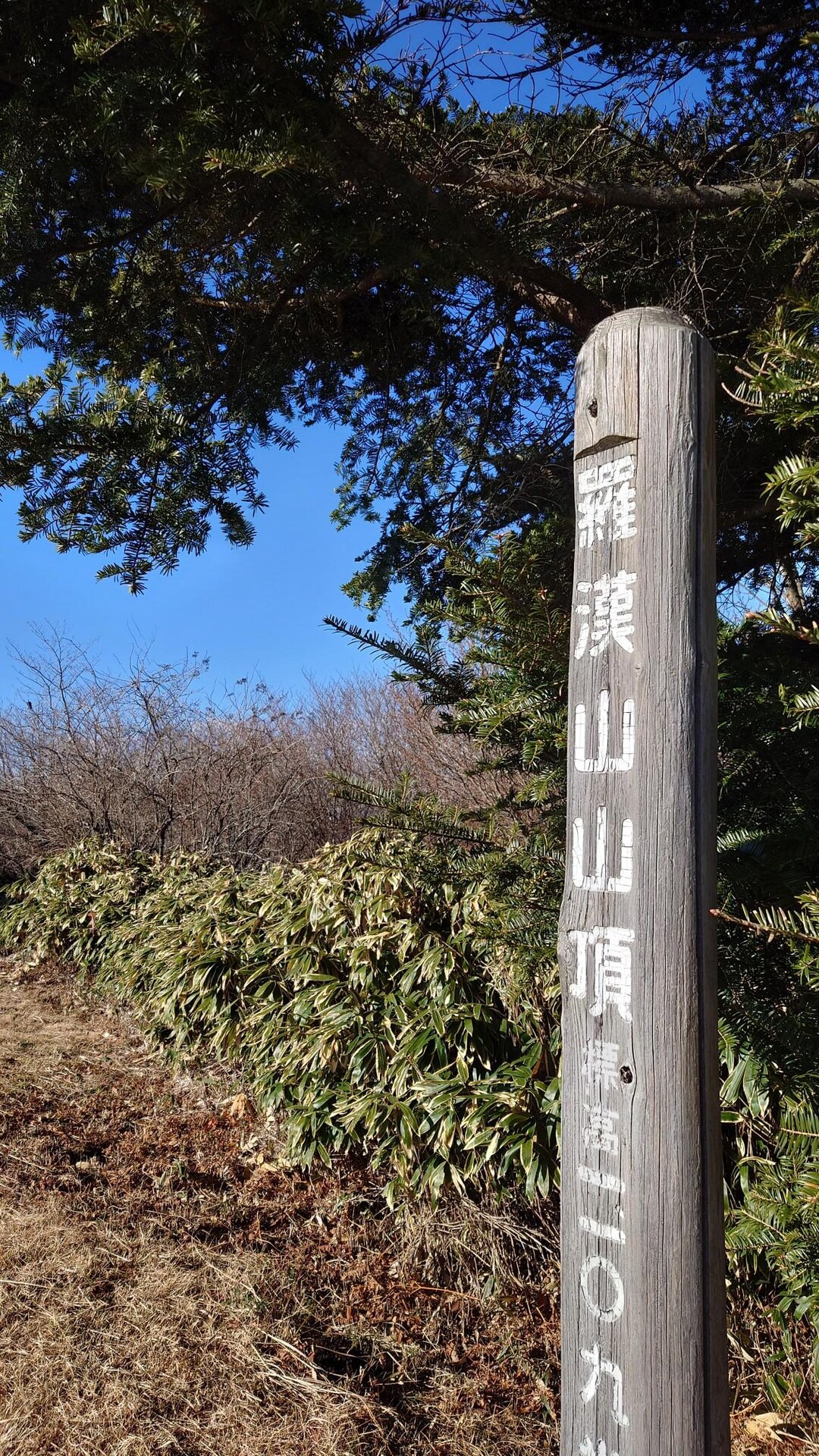 羅漢山・小羅漢山・法華山 / マコトさんの羅漢山の活動データ YAMAP / ヤマップ