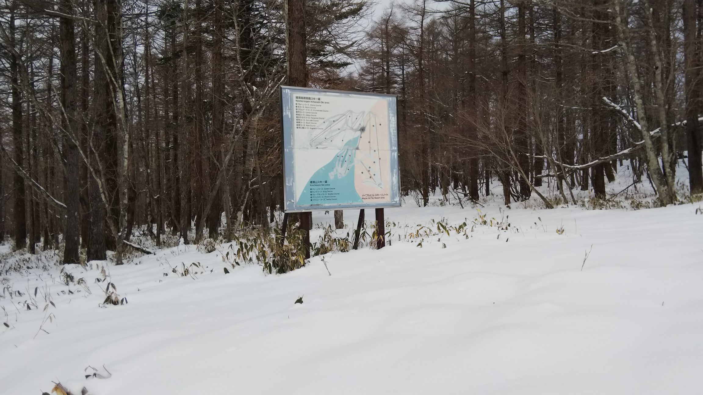 旧スキー場の案内板